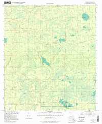 Download a high-resolution, GPS-compatible USGS topo map for Fairview, FL (1998 edition)