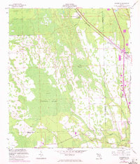 preview thumbnail of historical topo map of Flagler County, FL in 1956