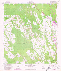 preview thumbnail of historical topo map of Flagler County, FL in 1956