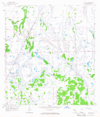 Download a high-resolution, GPS-compatible USGS topo map for Felda NE, FL (1967 edition)