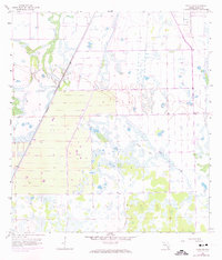 Download a high-resolution, GPS-compatible USGS topo map for Felda NE, FL (1974 edition)