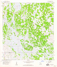 Download a high-resolution, GPS-compatible USGS topo map for Felda SE, FL (1959 edition)
