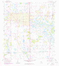 Download a high-resolution, GPS-compatible USGS topo map for Felda, FL (1974 edition)
