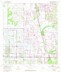 Download a high-resolution, GPS-compatible USGS topo map for Fellsmere 4 NE, FL (1971 edition)