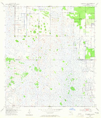 Download a high-resolution, GPS-compatible USGS topo map for Fellsmere 4 SE, FL (1965 edition)