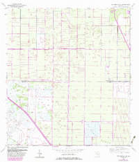 Download a high-resolution, GPS-compatible USGS topo map for Fellsmere 4 SE, FL (1983 edition)