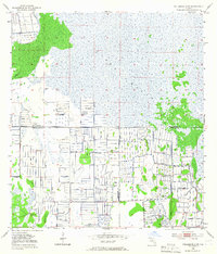 Download a high-resolution, GPS-compatible USGS topo map for Fellsmere 4 SW, FL (1967 edition)