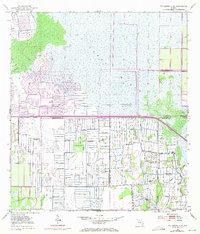 Download a high-resolution, GPS-compatible USGS topo map for Fellsmere 4 SW, FL (1970 edition)