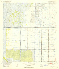 Download a high-resolution, GPS-compatible USGS topo map for Fellsmere SW, FL (1954 edition)