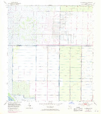 Download a high-resolution, GPS-compatible USGS topo map for Fellsmere SW, FL (1971 edition)