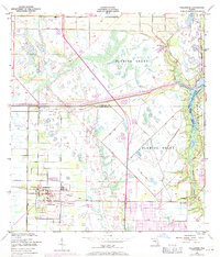 Download a high-resolution, GPS-compatible USGS topo map for Fellsmere, FL (1971 edition)