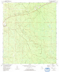 Download a high-resolution, GPS-compatible USGS topo map for Fenholloway, FL (1993 edition)