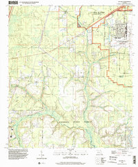 preview thumbnail of historical topo map of Clay County, FL in 1994