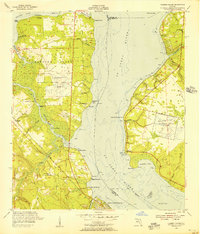 Download a high-resolution, GPS-compatible USGS topo map for Fleming Island, FL (1956 edition)