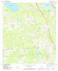preview thumbnail of historical topo map of Marion County, FL in 1969