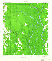 1944 Map of Liberty County, FL, 1960 Print
