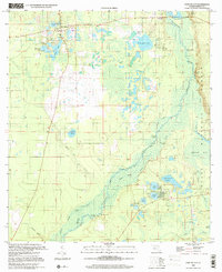preview thumbnail of historical topo map of Marion County, FL in 1999