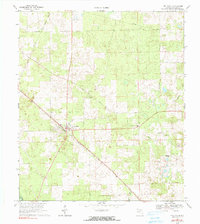 Download a high-resolution, GPS-compatible USGS topo map for Fort White, FL (1990 edition)
