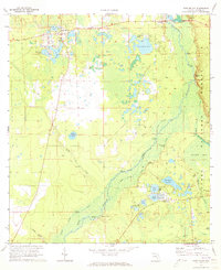preview thumbnail of historical topo map of Marion County, FL in 1970
