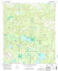 Download a high-resolution, GPS-compatible USGS topo map for Gap Lake, FL (1995 edition)