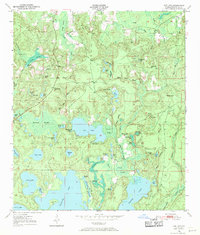Download a high-resolution, GPS-compatible USGS topo map for Gap Lake, FL (1971 edition)