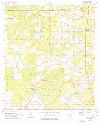 Download a high-resolution, GPS-compatible USGS topo map for Gaskin, FL (1976 edition)