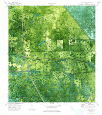 Download a high-resolution, GPS-compatible USGS topo map for Goddens Strand, FL (1993 edition)