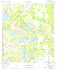 Download a high-resolution, GPS-compatible USGS topo map for Gold Head Branch, FL (1978 edition)