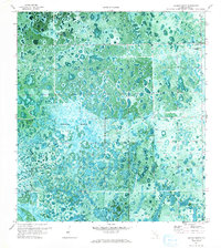 Download a high-resolution, GPS-compatible USGS topo map for Graham Marsh, FL (1993 edition)