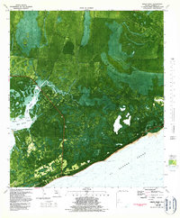 Download a high-resolution, GPS-compatible USGS topo map for Green Point, FL (1989 edition)