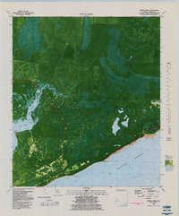 Download a high-resolution, GPS-compatible USGS topo map for Green Point, FL (1982 edition)