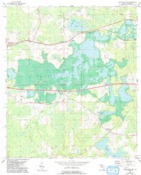 Download a high-resolution, GPS-compatible USGS topo map for Greenville NE, FL (1993 edition)