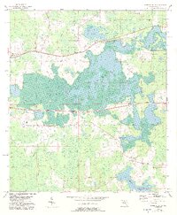 preview thumbnail of historical topo map of Madison County, FL in 1954