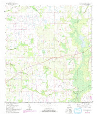 Download a high-resolution, GPS-compatible USGS topo map for Griffins Corner, FL (1993 edition)