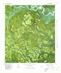 preview thumbnail of historical topo map of Nassau County, FL in 1979