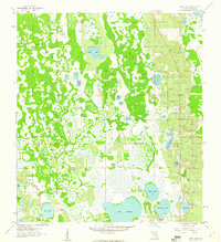 Download a high-resolution, GPS-compatible USGS topo map for Gum Lake, FL (1960 edition)