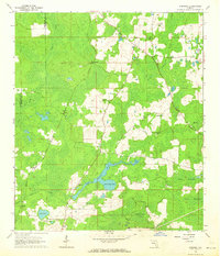 preview thumbnail of historical topo map of Madison County, FL in 1962