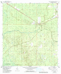 Download a high-resolution, GPS-compatible USGS topo map for Hampton Springs, FL (1993 edition)