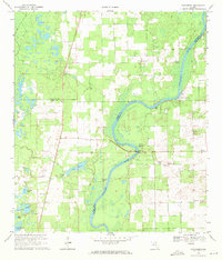 preview thumbnail of historical topo map of Lafayette County, FL in 1968
