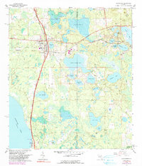 Download a high-resolution, GPS-compatible USGS topo map for Hawthorne, FL (1990 edition)