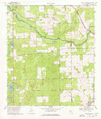 Download a high-resolution, GPS-compatible USGS topo map for High Springs SW, FL (1977 edition)