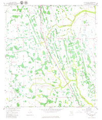 Download a high-resolution, GPS-compatible USGS topo map for Holopaw SE, FL (1979 edition)