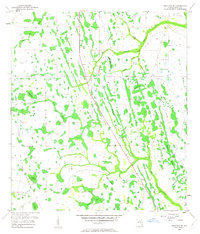 Download a high-resolution, GPS-compatible USGS topo map for Holopaw SE, FL (1963 edition)