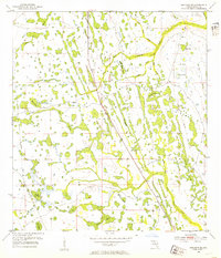 Download a high-resolution, GPS-compatible USGS topo map for Holopaw SE, FL (1954 edition)