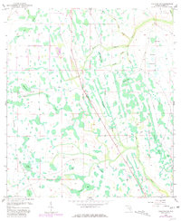 Download a high-resolution, GPS-compatible USGS topo map for Holopaw SE, FL (1981 edition)
