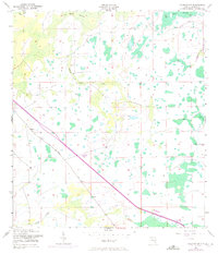 Download a high-resolution, GPS-compatible USGS topo map for Holopaw SW, FL (1972 edition)