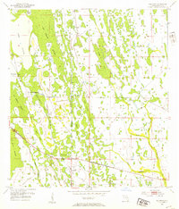 Download a high-resolution, GPS-compatible USGS topo map for Holopaw, FL (1954 edition)