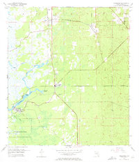 Download a high-resolution, GPS-compatible USGS topo map for Homosassa, FL (1972 edition)