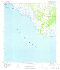 Download a high-resolution, GPS-compatible USGS topo map for Horseshoe Beach, FL (1975 edition)