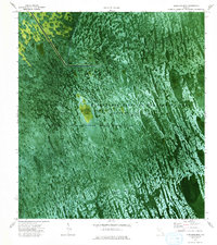 Download a high-resolution, GPS-compatible USGS topo map for Horseshoe Head, FL (1993 edition)